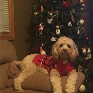 Meet your Posher, Travis